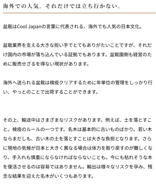 盆栽NFT Bon voyage
