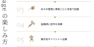 新しく生まれ変わります (5)