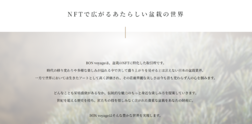 盆栽NFT　Bonvoyage