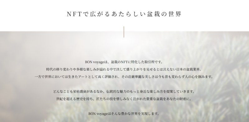 盆栽NFT　Bonvoyage
