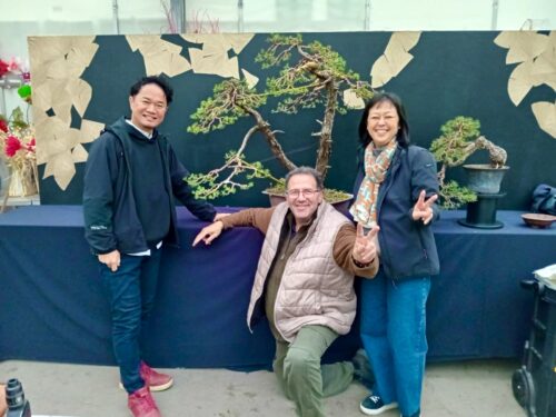Academy Bonsai in France