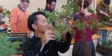 Academy Bonsai in France