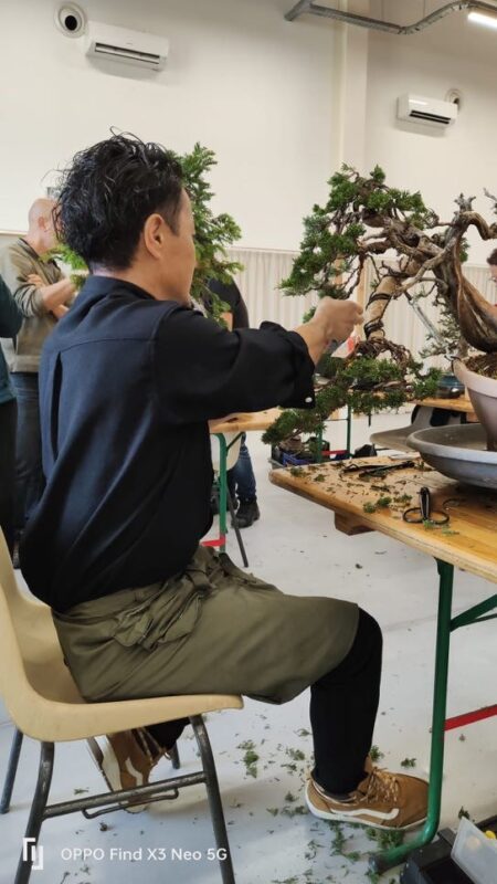 Academy Bonsai in France