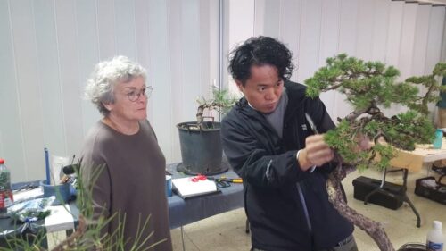 Academy Bonsai in France