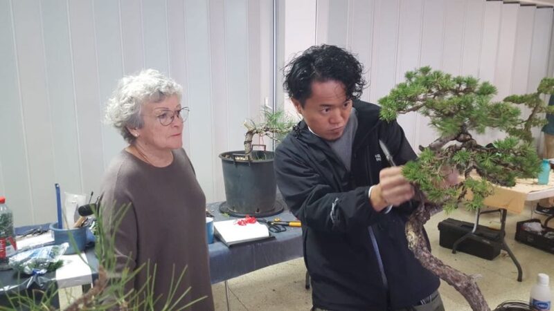 Academy Bonsai in France
