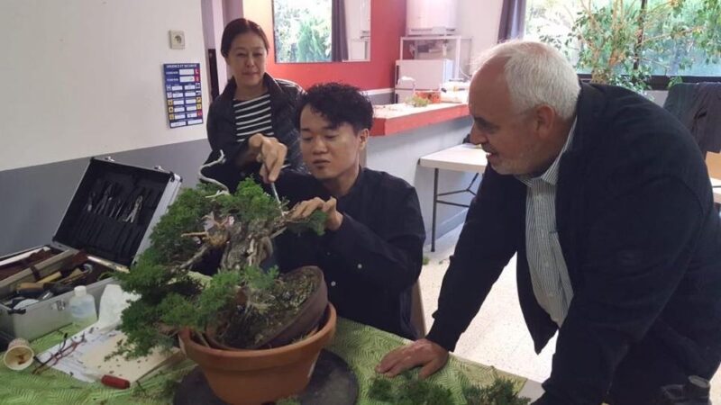 Academy Bonsai in France