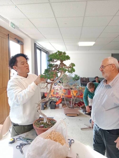 Academy Bonsai in France