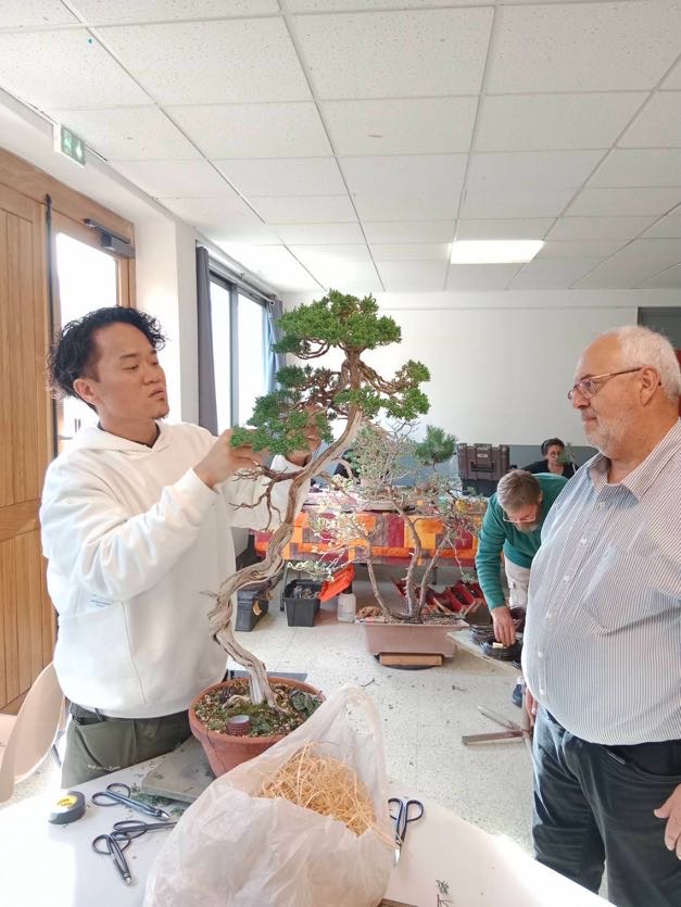 Academy Bonsai in France