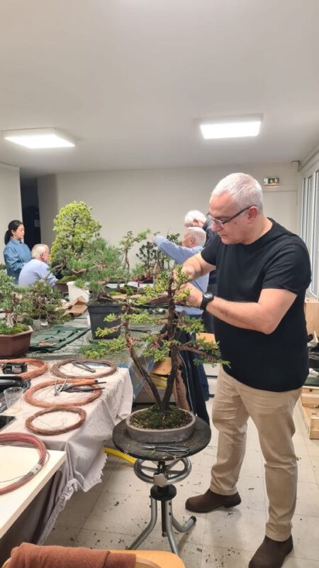 Academy Bonsai in France