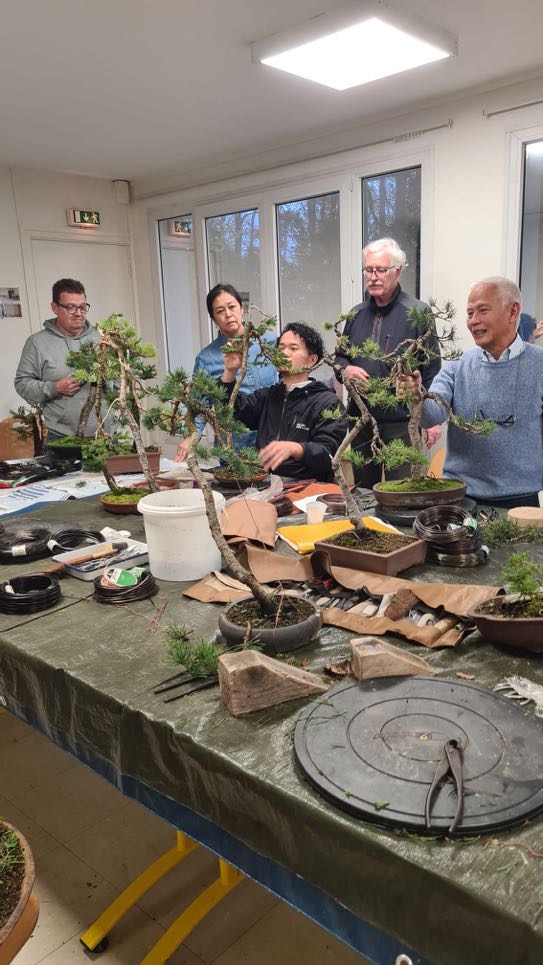 Academy Bonsai in France