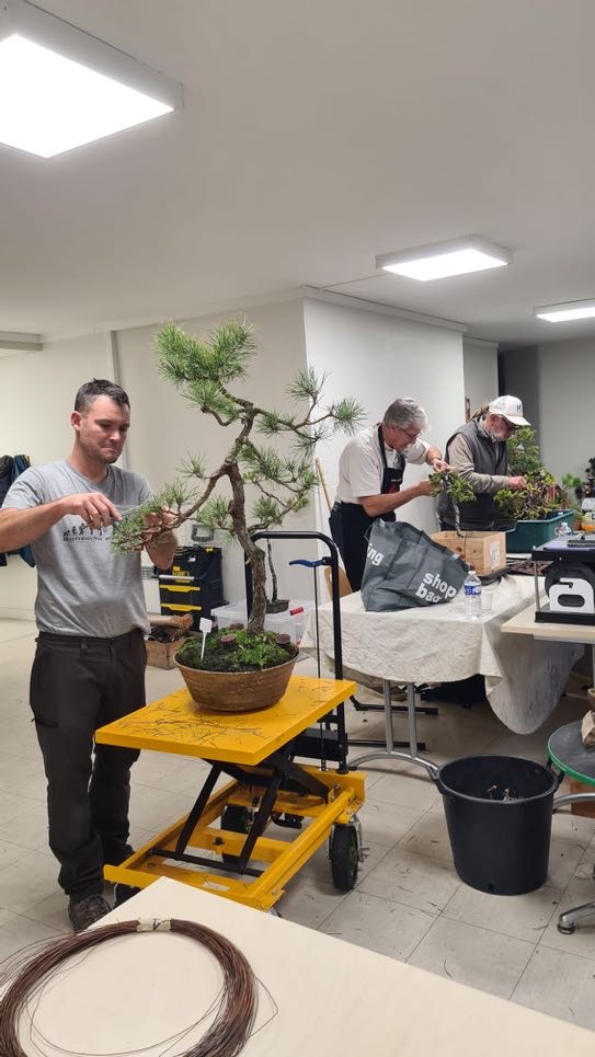 Academy Bonsai in France